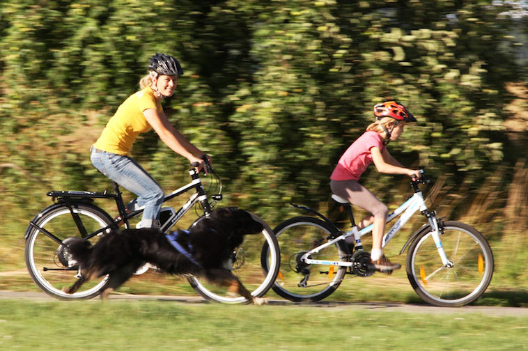 Das eBike ersetzt das Auto (Foto: Stromer; eBike Award)