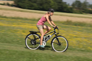 Wheeler Evo Lady 2012