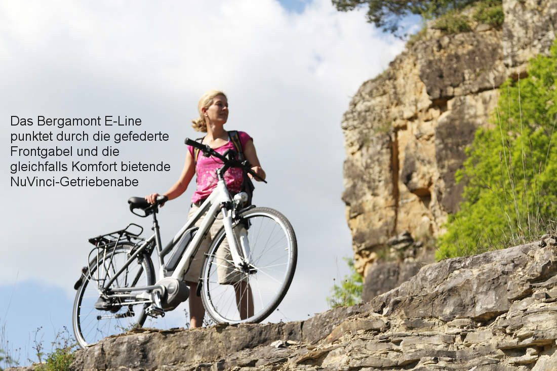 Das Bergamont E-Bike E-Line N360 Harmony